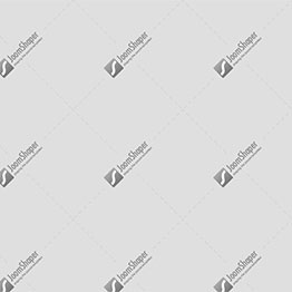 Journée d'animation